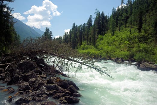 The mountain river in the mountains. Current through the gorge the river. Stones and rocky land near the river. Beautiful mountain landscape.