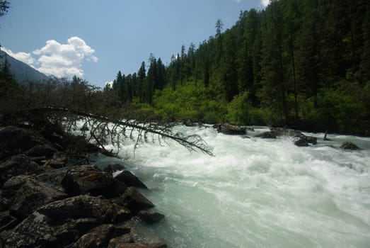The mountain river in the mountains. Current through the gorge the river. Stones and rocky land near the river. Beautiful mountain landscape.