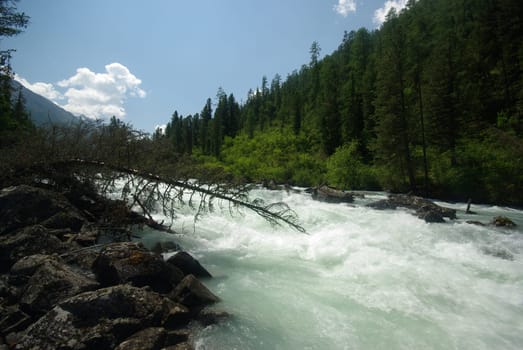 The mountain river in the mountains. Current through the gorge the river. Stones and rocky land near the river. Beautiful mountain landscape.