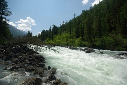 The mountain river in the mountains. Current through the gorge the river. Stones and rocky land near the river. Beautiful mountain landscape.