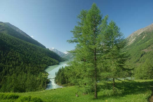 The mountain river in the mountains. Current through the gorge the river. Stones and rocky land near the river. Beautiful mountain landscape.