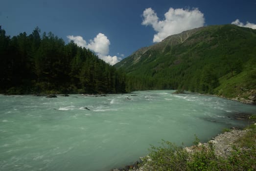 The mountain river in the mountains. Current through the gorge the river. Stones and rocky land near the river. Beautiful mountain landscape.
