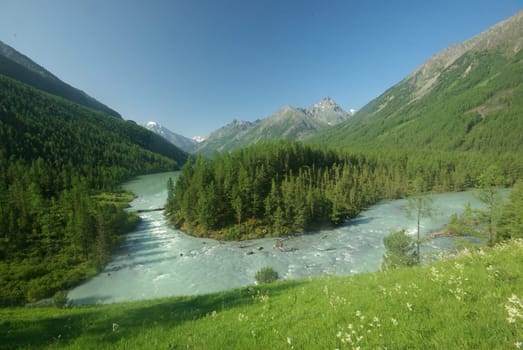 The mountain river in the mountains. Current through the gorge the river. Stones and rocky land near the river. Beautiful mountain landscape.
