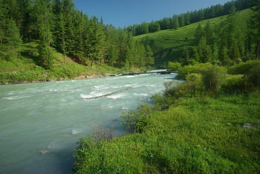 The mountain river in the mountains. Current through the gorge the river. Stones and rocky land near the river. Beautiful mountain landscape.