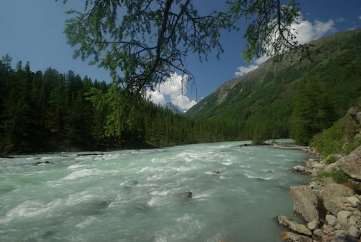 The mountain river in the mountains. Current through the gorge the river. Stones and rocky land near the river. Beautiful mountain landscape.