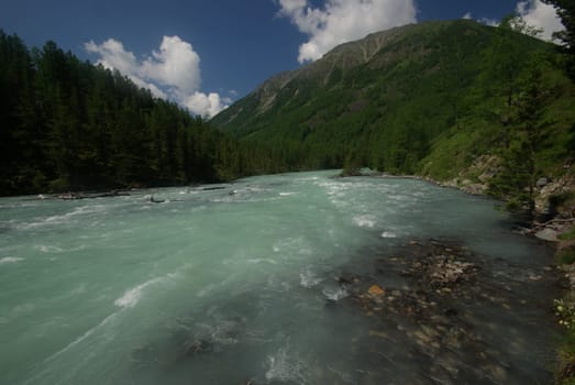 The mountain river in the mountains. Current through the gorge the river. Stones and rocky land near the river. Beautiful mountain landscape.