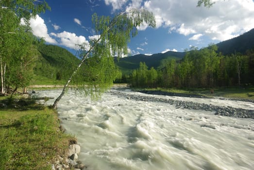 The mountain river in the mountains. Current through the gorge the river. Stones and rocky land near the river. Beautiful mountain landscape.