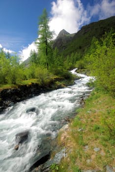 The mountain river in the mountains. Current through the gorge the river. Stones and rocky land near the river. Beautiful mountain landscape.