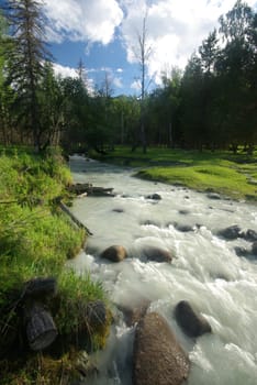 The mountain river in the mountains. Current through the gorge the river. Stones and rocky land near the river. Beautiful mountain landscape.