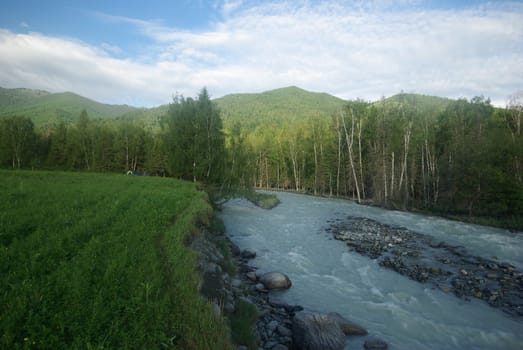 The mountain river in the mountains. Current through the gorge the river. Stones and rocky land near the river. Beautiful mountain landscape.