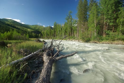 The mountain river in the mountains. Current through the gorge the river. Stones and rocky land near the river. Beautiful mountain landscape.