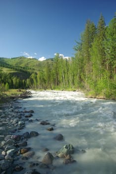 The mountain river in the mountains. Current through the gorge the river. Stones and rocky land near the river. Beautiful mountain landscape.