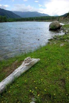 The mountain river in the mountains. Current through the gorge the river. Stones and rocky land near the river. Beautiful mountain landscape.
