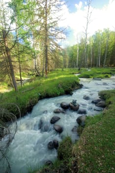 The mountain river in the mountains. Current through the gorge the river. Stones and rocky land near the river. Beautiful mountain landscape.