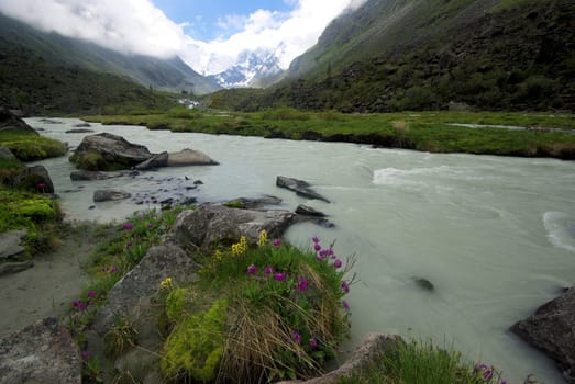 The mountain river in the mountains. Current through the gorge the river. Stones and rocky land near the river. Beautiful mountain landscape.