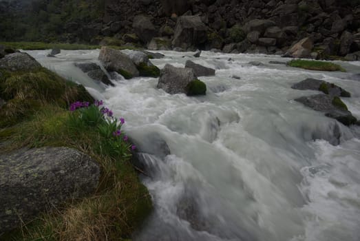 The mountain river in the mountains. Current through the gorge the river. Stones and rocky land near the river. Beautiful mountain landscape.