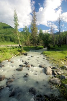 The mountain river in the mountains. Current through the gorge the river. Stones and rocky land near the river. Beautiful mountain landscape.