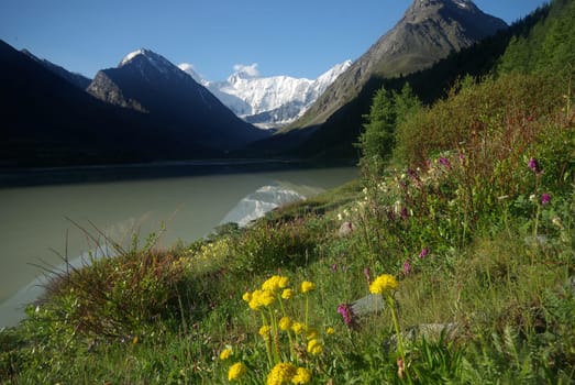 The mountain river in the mountains. Current through the gorge the river. Stones and rocky land near the river. Beautiful mountain landscape.