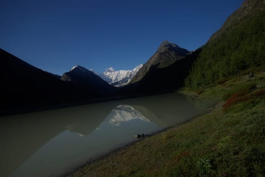 The mountain river in the mountains. Current through the gorge the river. Stones and rocky land near the river. Beautiful mountain landscape.