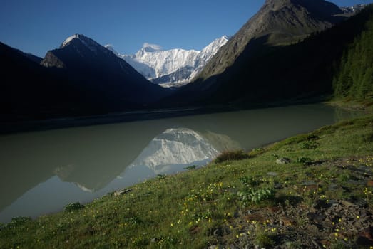 The mountain river in the mountains. Current through the gorge the river. Stones and rocky land near the river. Beautiful mountain landscape.