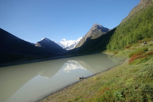 The mountain river in the mountains. Current through the gorge the river. Stones and rocky land near the river. Beautiful mountain landscape.