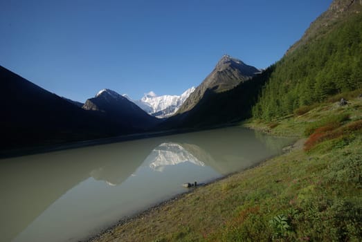 The mountain river in the mountains. Current through the gorge the river. Stones and rocky land near the river. Beautiful mountain landscape.