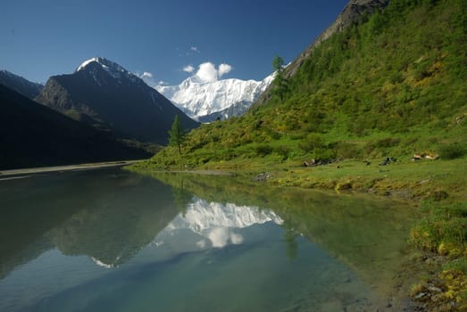 The mountain river in the mountains. Current through the gorge the river. Stones and rocky land near the river. Beautiful mountain landscape.