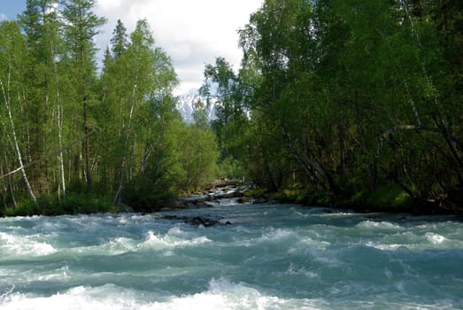 The mountain river in the mountains. Current through the gorge the river. Stones and rocky land near the river. Beautiful mountain landscape.