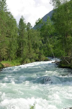 The mountain river in the mountains. Current through the gorge the river. Stones and rocky land near the river. Beautiful mountain landscape.