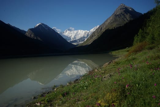 The mountain river in the mountains. Current through the gorge the river. Stones and rocky land near the river. Beautiful mountain landscape.