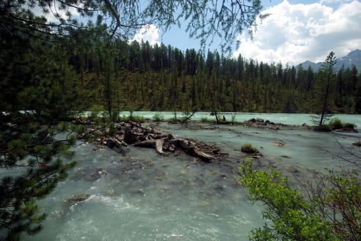 The mountain river in the mountains. Current through the gorge the river. Stones and rocky land near the river. Beautiful mountain landscape.