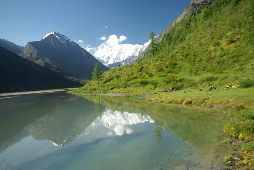 The mountain river in the mountains. Current through the gorge the river. Stones and rocky land near the river. Beautiful mountain landscape.