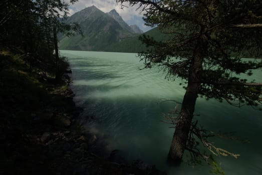 The mountain river in the mountains. Current through the gorge the river. Stones and rocky land near the river. Beautiful mountain landscape.