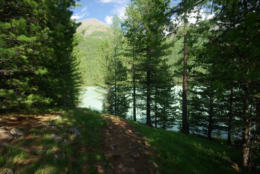 The mountain river in the mountains. Current through the gorge the river. Stones and rocky land near the river. Beautiful mountain landscape.