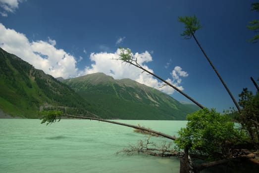 The mountain river in the mountains. Current through the gorge the river. Stones and rocky land near the river. Beautiful mountain landscape.
