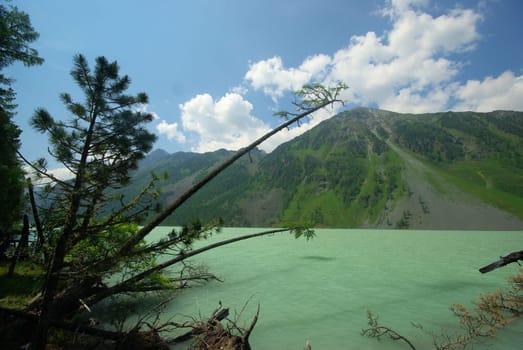 The mountain river in the mountains. Current through the gorge the river. Stones and rocky land near the river. Beautiful mountain landscape.
