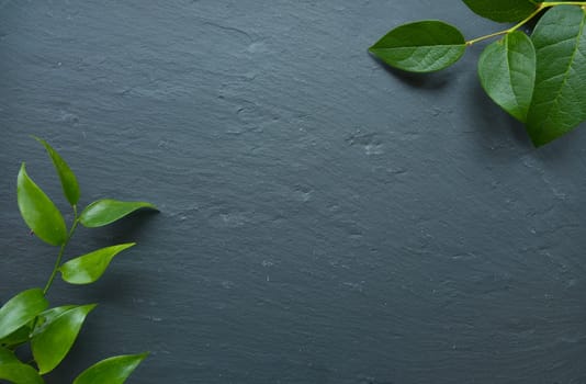 Floral background on black slate