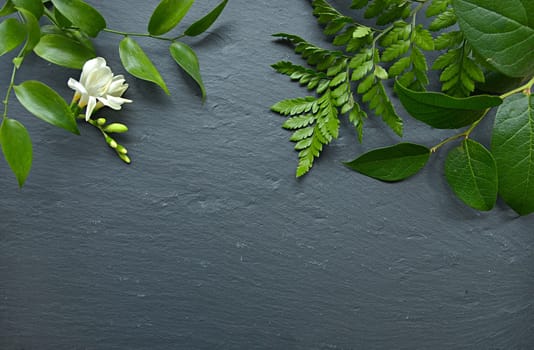 Floral background on black slate
