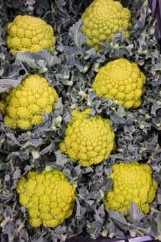 Fresh fruits and vegetables at the grocery store