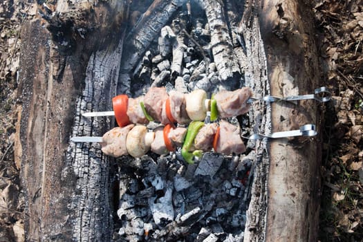 Juicy slices of meat with sauce prepare on fire. fresh hot grilled chicken shish kebab barbecue on grid over charcoal