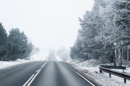 Highway in the winter, the trees covered with hoarfrost