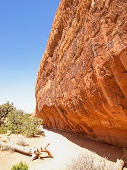 Nature National Park, Utah. The landscape and rocks. Roads and propinki Park, Utah.