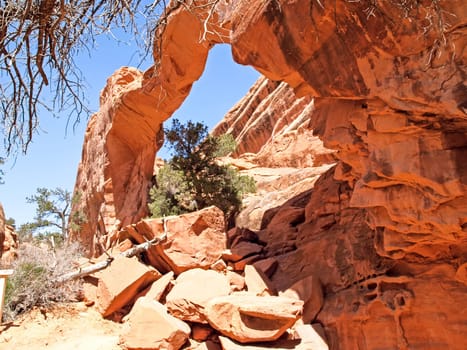 Nature National Park, Utah. The landscape and rocks. Roads and propinki Park, Utah.