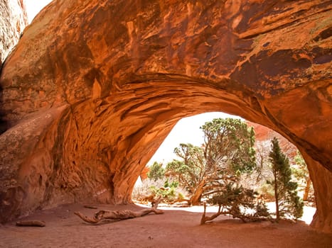 Nature National Park, Utah. The landscape and rocks. Roads and propinki Park, Utah.