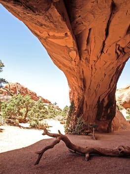 Nature National Park, Utah. The landscape and rocks. Roads and propinki Park, Utah.