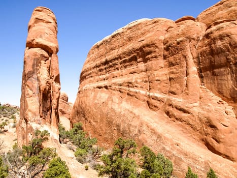 Nature National Park, Utah. The landscape and rocks. Roads and propinki Park, Utah.