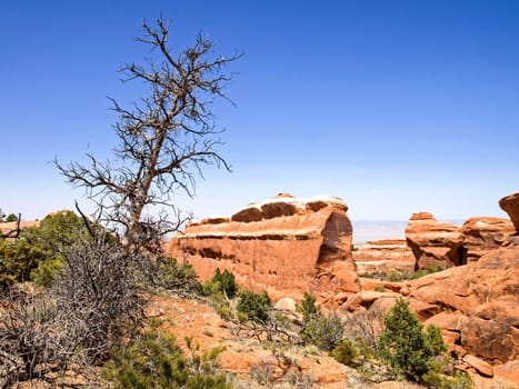 Nature National Park, Utah. The landscape and rocks. Roads and propinki Park, Utah.