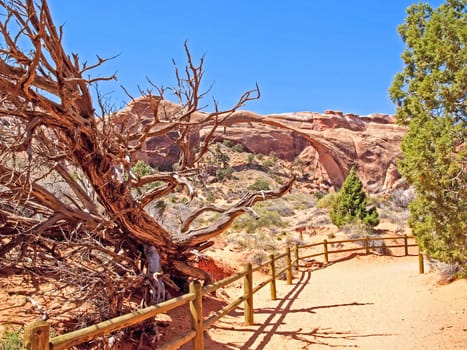Nature National Park, Utah. The landscape and rocks. Roads and propinki Park, Utah.