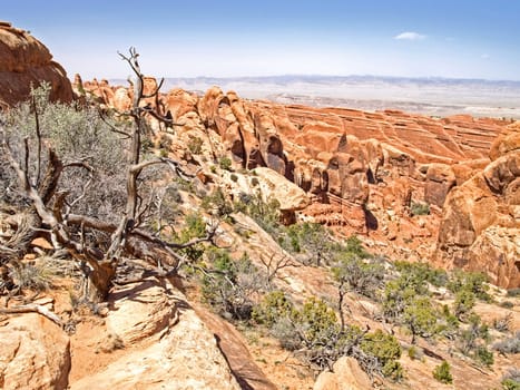 Nature National Park, Utah. The landscape and rocks. Roads and propinki Park, Utah.