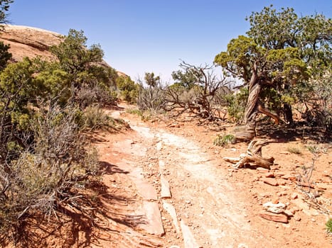 Nature National Park, Utah. The landscape and rocks. Roads and propinki Park, Utah.